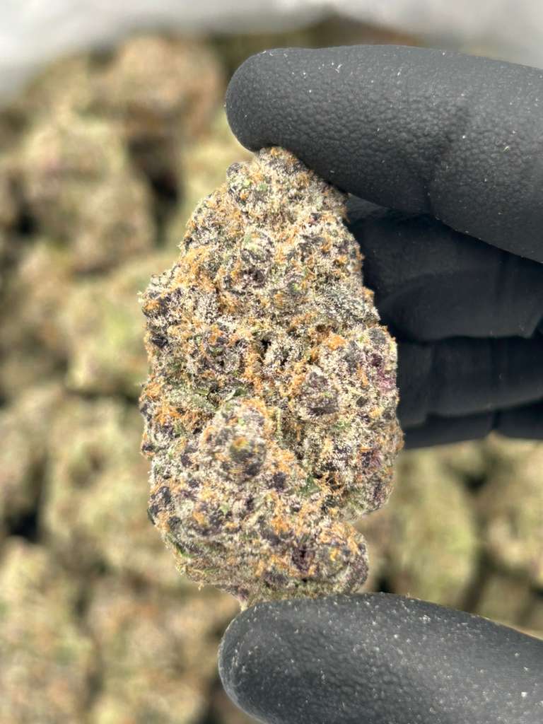 Runtz x Zkittlez