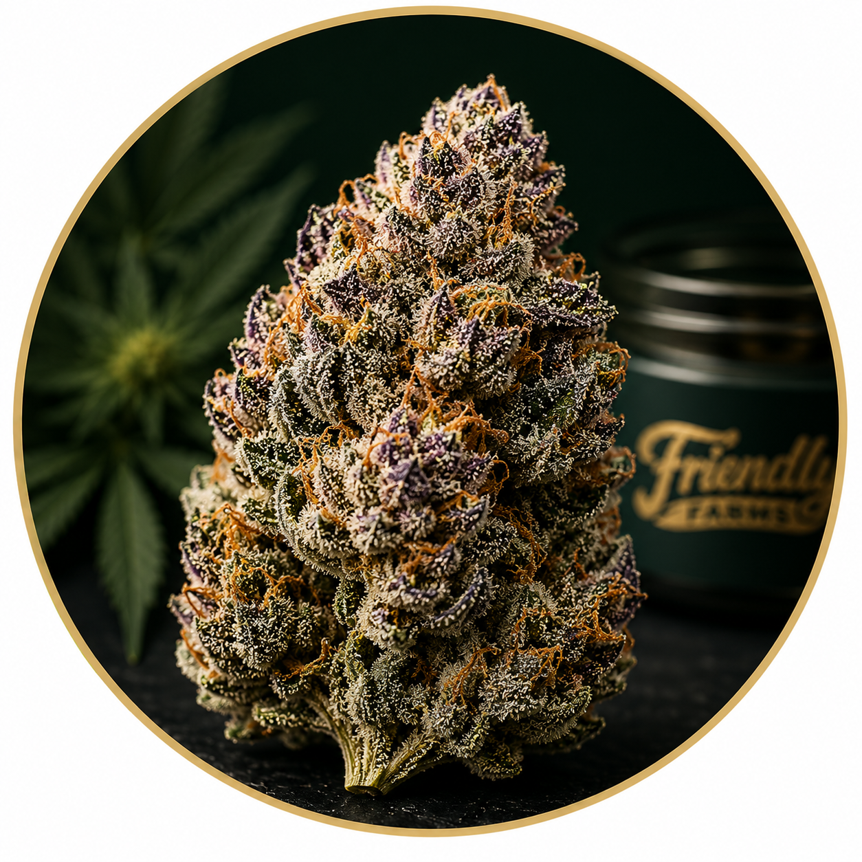 What Is THCA Flower? Friendly Farms Guide