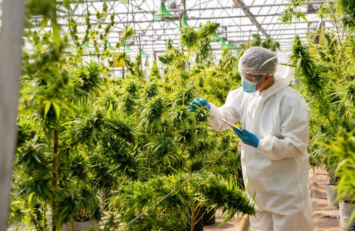 Friendly Farms grow
