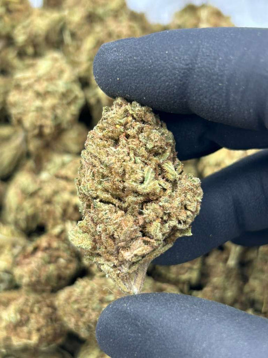 True OG