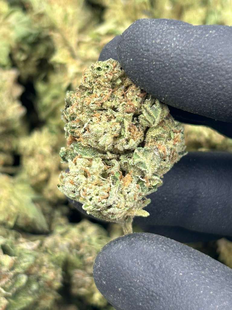 Ghost Train Haze