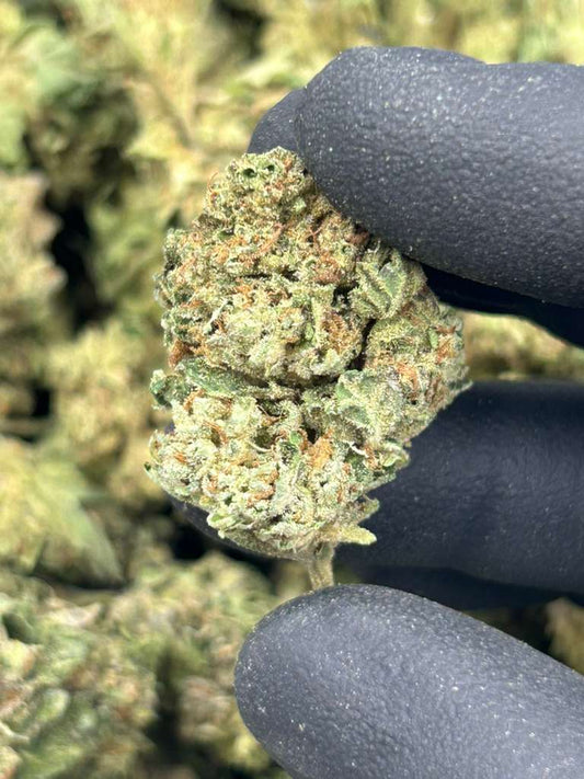 Ghost Train Haze
