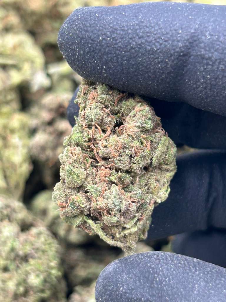 Papaya Punch