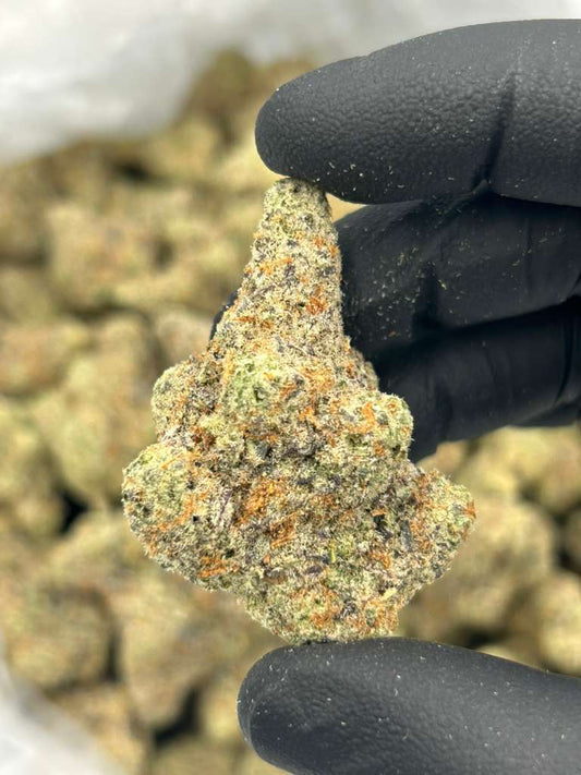Sativa • Jack Herer
