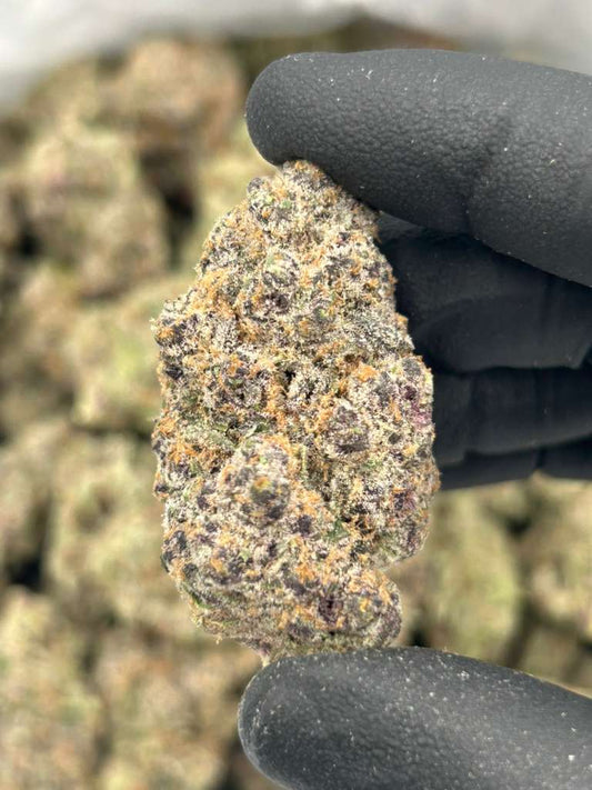 Runtz x Zkittlez