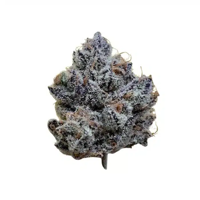 Zours