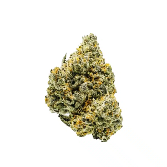 Sativa • Jack Herer